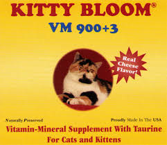Kitty Bloom